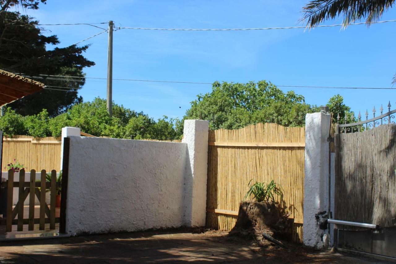 Willa Roy House Alghero Zewnętrze zdjęcie